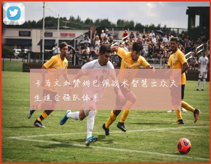 卡马文加赞姆巴佩战术智慧出众天生适合强队体系