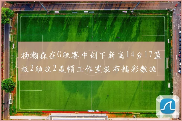 杨瀚森在G联赛中创下新高14分17篮板2助攻2盖帽工作室发布精彩数据海报